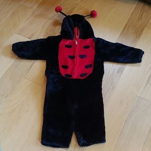 🐞 Adorable Ladybug Costume 🐞 EUC SO soft!